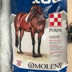 Purina Omolene 100 Active Pleasure Horse Feed