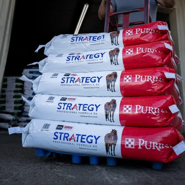Purina Strategy Professional Formula GX Horse Feed