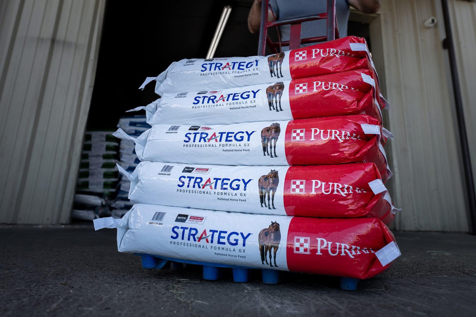 Purina Strategy Professional Formula GX Horse Feed Purina Strategy Professional Formula GX Horse Feed