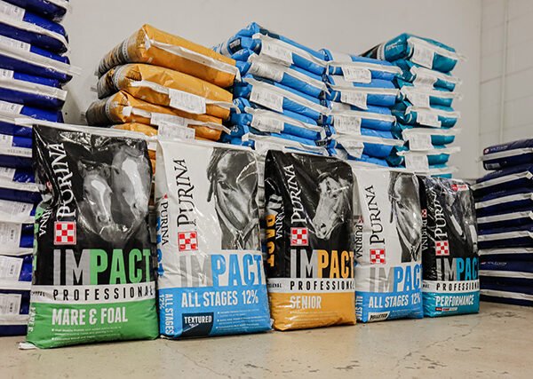 Purina Impact Professional Performance Horse Feed