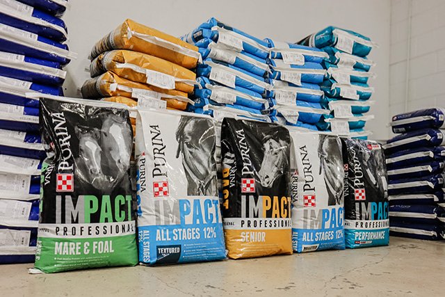 Purina Impact Professional Performance Horse Feed